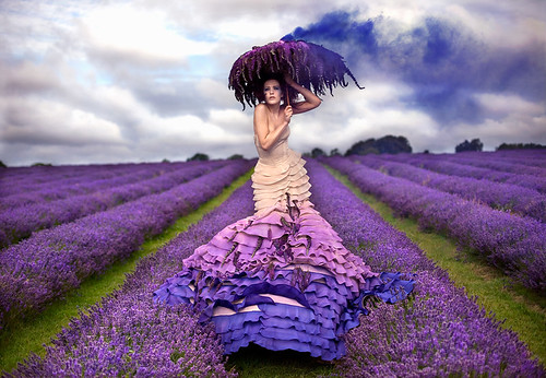 the lavendar princess by kirsty mitchell