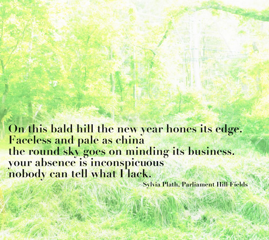 Parliament Hill Fields Poem:  "On this bald hill the new year hones its edge.
Faceless and pale as china the round sky goes on minding its business. Your absence is inconspicuous nobody can tell what I lack."