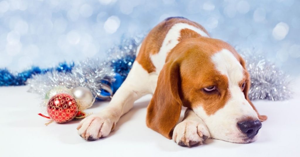 holiday grief