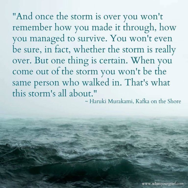 "And once the storm is over you won't remember you how made it through, how you managed to survive. You won't even be sure, in fact, whether the storm is really over. But one thing is certain. When you come out of the storm you won't be the same person who walked in. That's what the storm's all about." ~ Haruki Murakami, Kafka on the Shore