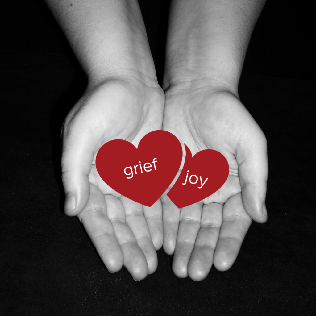 grief of coming out grief joy FI