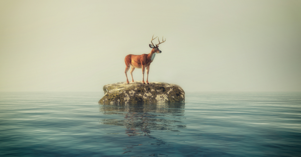 grief out of your control
