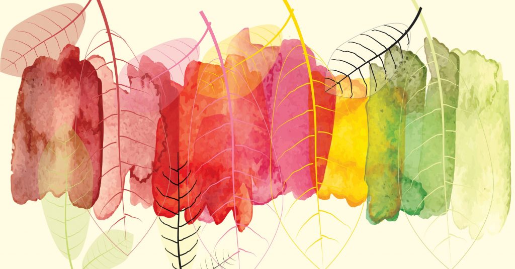 fall is my grief season