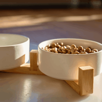 pet food bowls pet grief